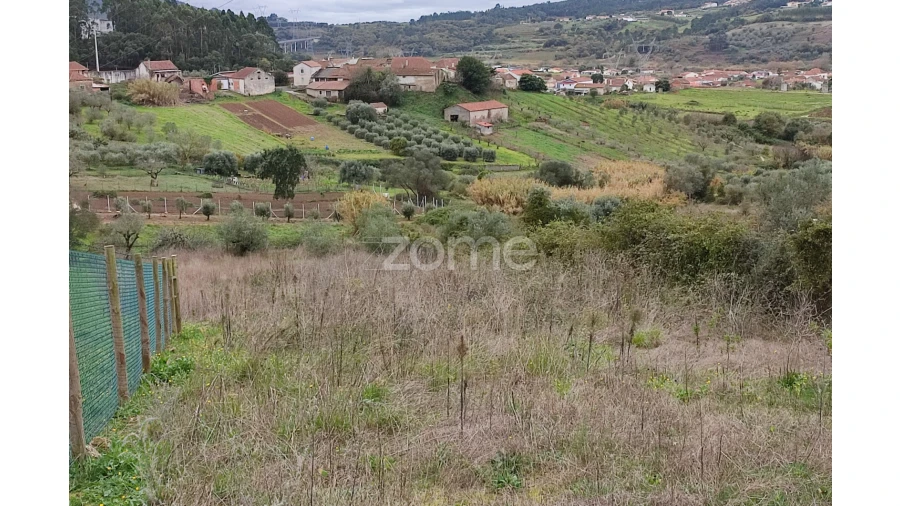 Terreno para Venda em Porto de Mós - São João Baptista e São Pedro Foto 12