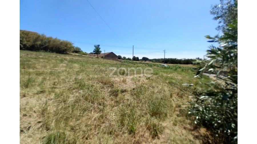 Terreno para Venda em Tamengos, Aguim e Óis do Bairro Foto 10