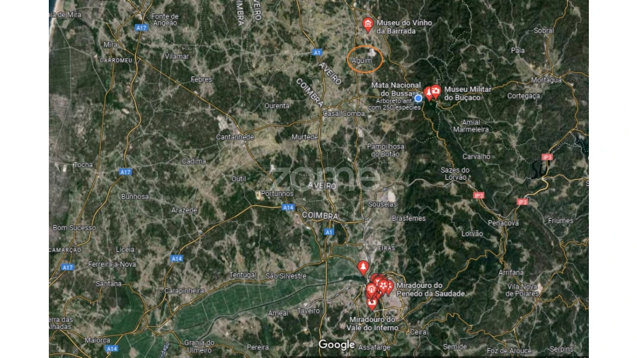 Terreno para Venda em Tamengos, Aguim e Óis do Bairro Foto 15