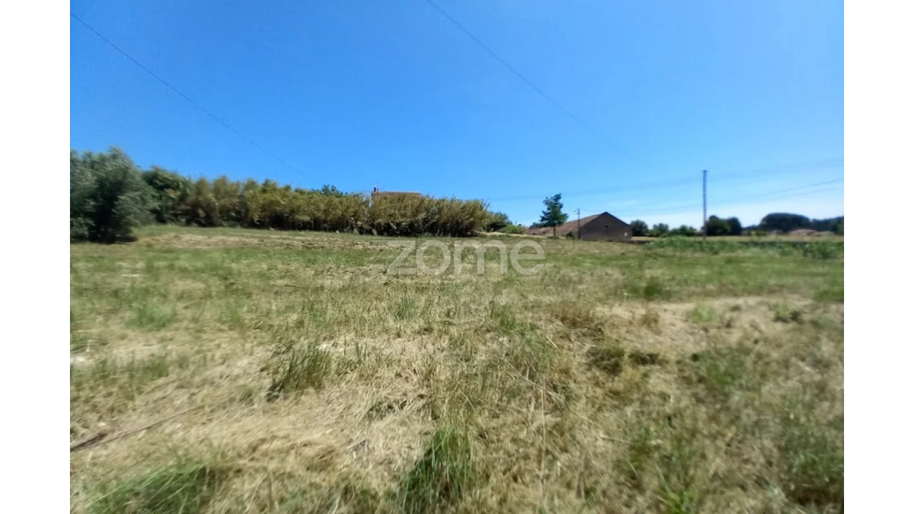 Terreno para Venda em Tamengos, Aguim e Óis do Bairro Foto 5