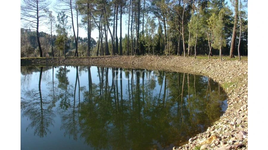 Terreno para Venda em Moita Foto 13