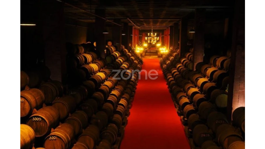 Terreno para Venda em Moita Foto 12