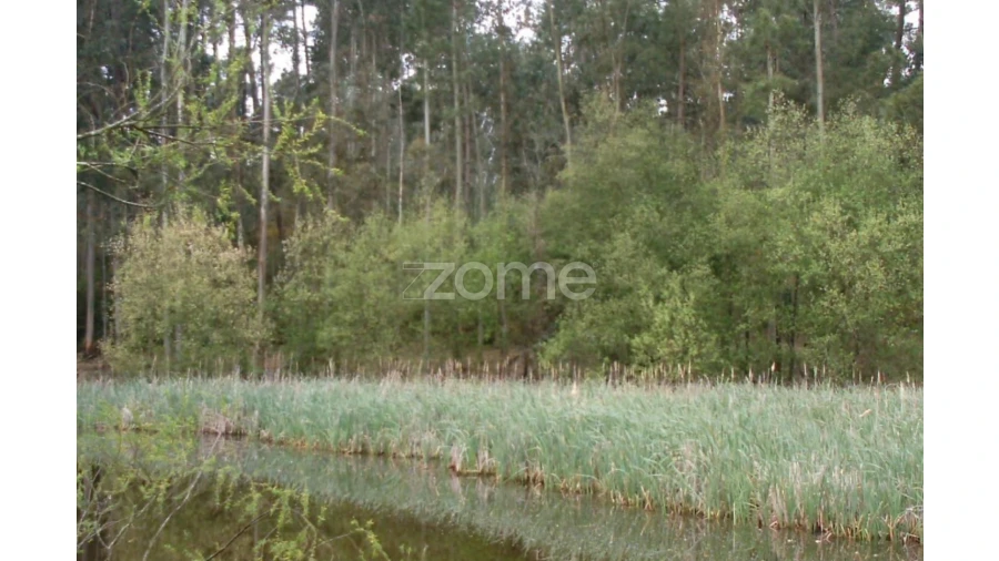 Terreno para Venda em Moita Foto 14