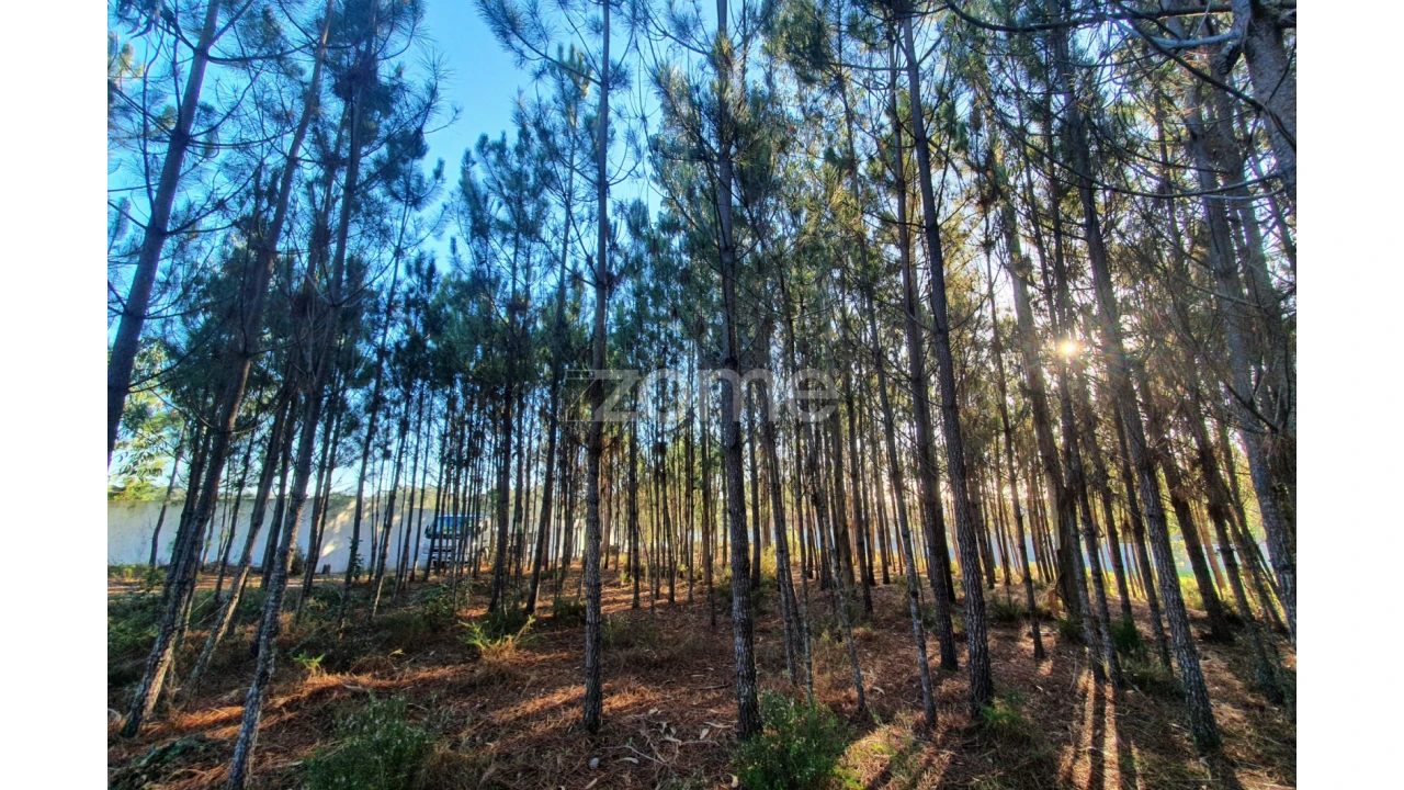 Terreno para Venda em Marinha Grande Foto 7