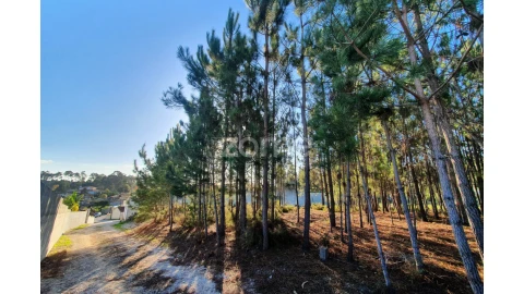 Terreno para Venda em Marinha Grande