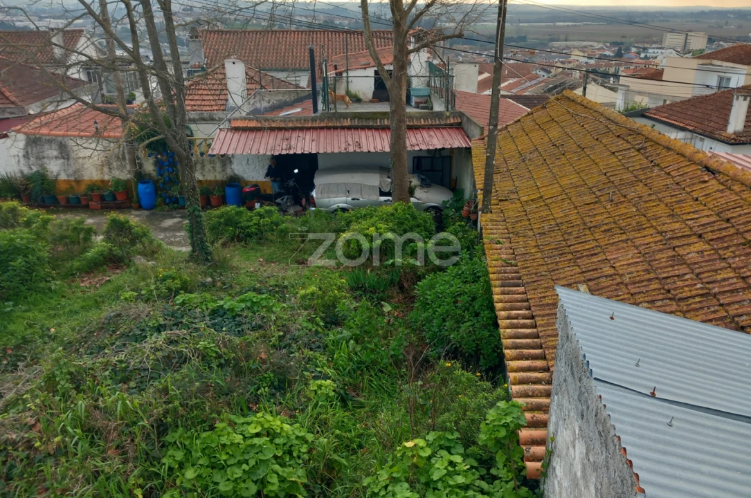 Terreno para Venda em Eiras e São Paulo de Frades Foto 26