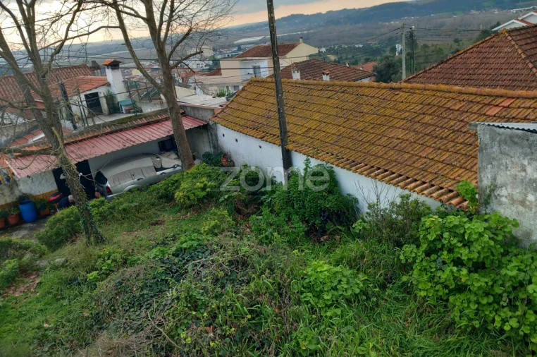 Terreno para Venda em Eiras e São Paulo de Frades Foto 23