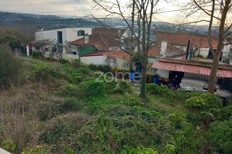 Terreno para Venda em Eiras e São Paulo de Frades Foto 24