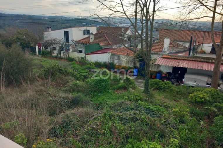 Terreno para Venda em Eiras e São Paulo de Frades Foto 28