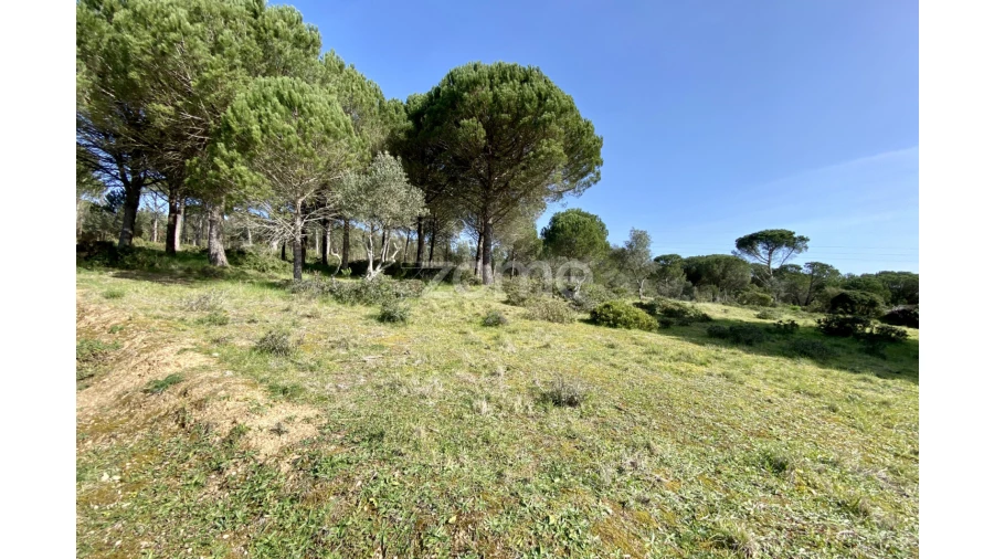 Terreno para Venda em Vila Verde Foto 3