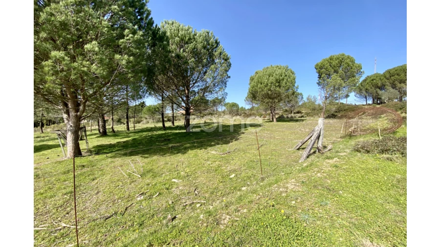 Terreno para Venda em Vila Verde Foto 6