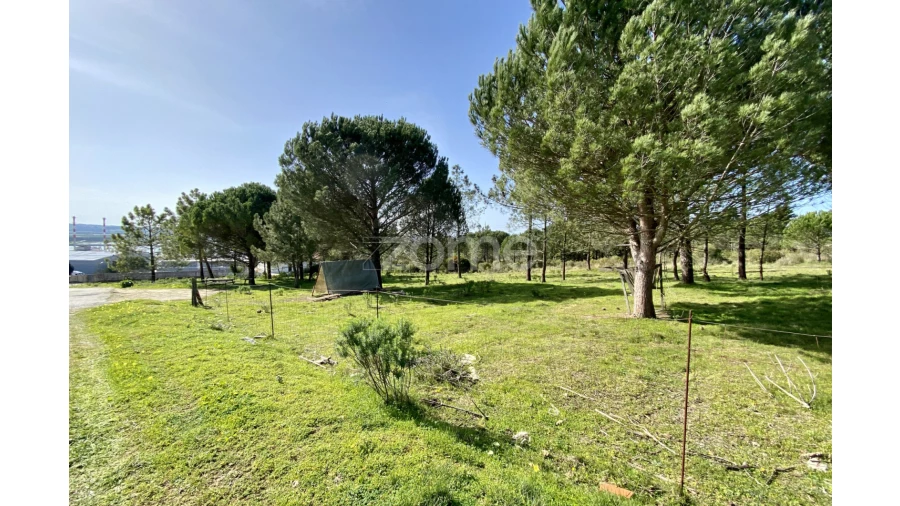 Terreno para Venda em Vila Verde Foto 8