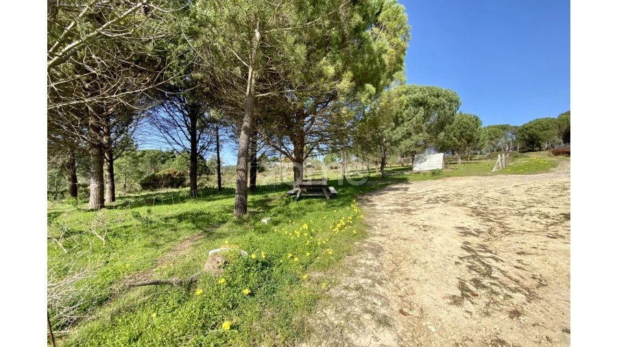Terreno para Venda em Vila Verde Foto 12