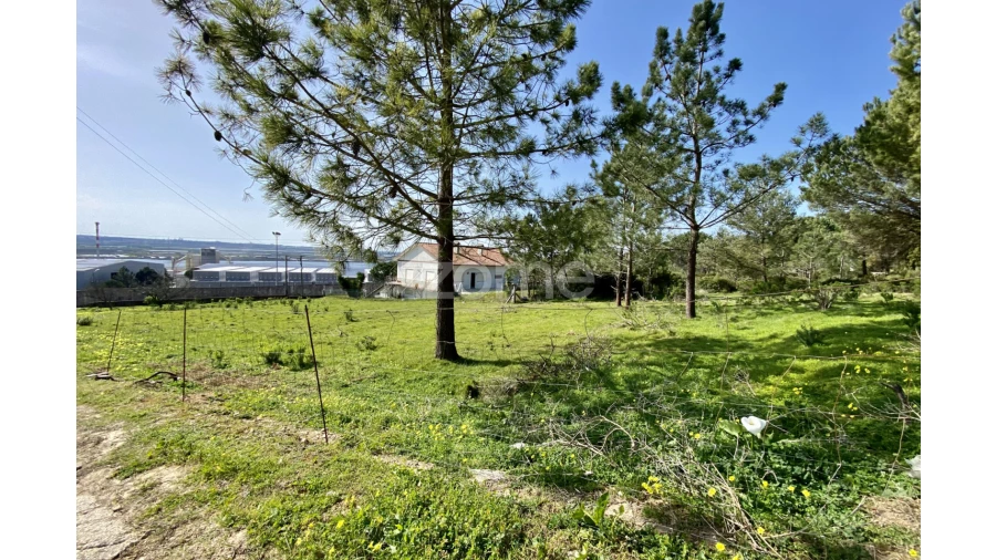 Terreno para Venda em Vila Verde Foto 14