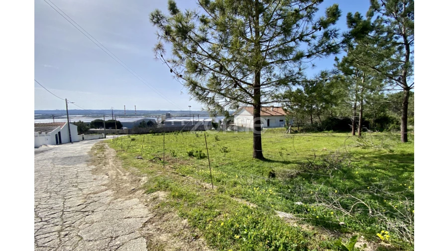 Terreno para Venda em Vila Verde Foto 15