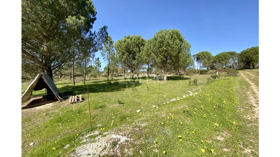 Terreno para Venda em Vila Verde Foto 16