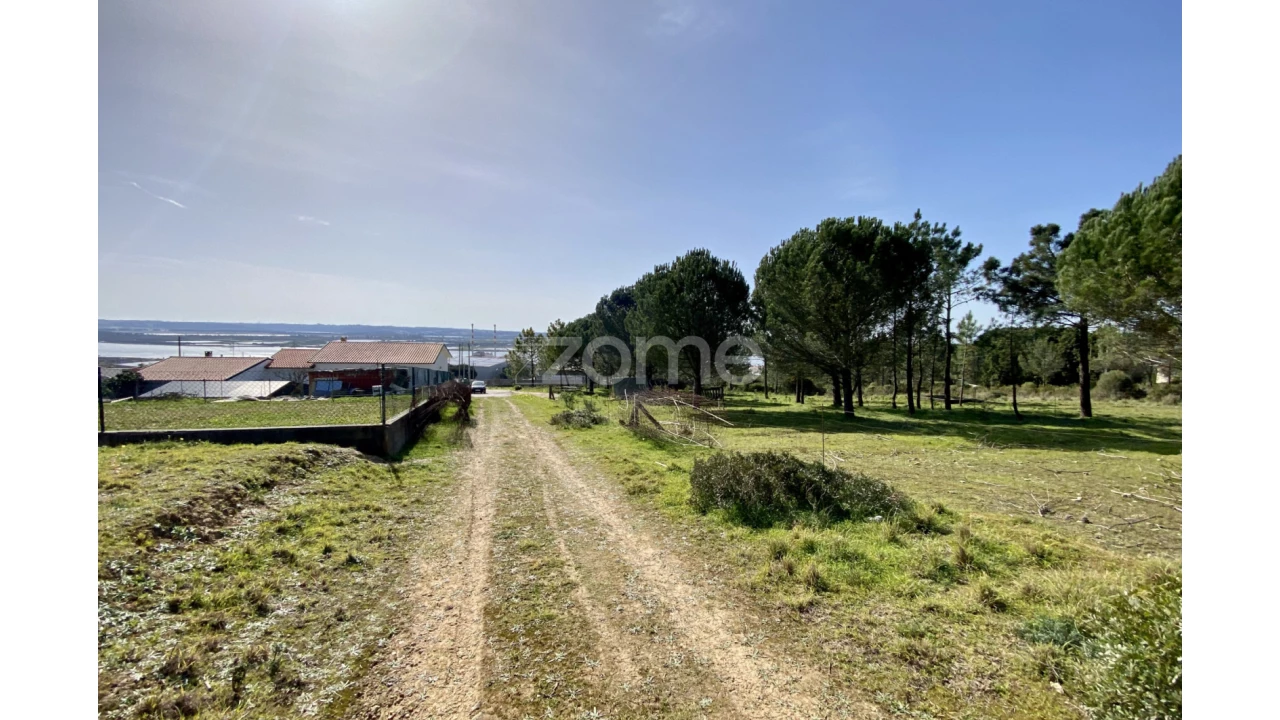 Terreno para Venda em Vila Verde Foto 4