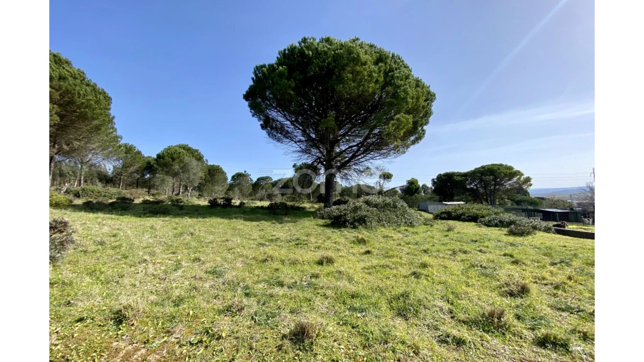 Terreno para Venda em Vila Verde Foto 5