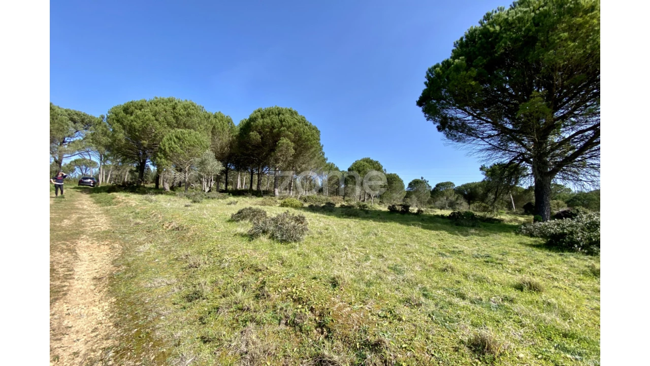 Terreno para Venda em Vila Verde Foto 7