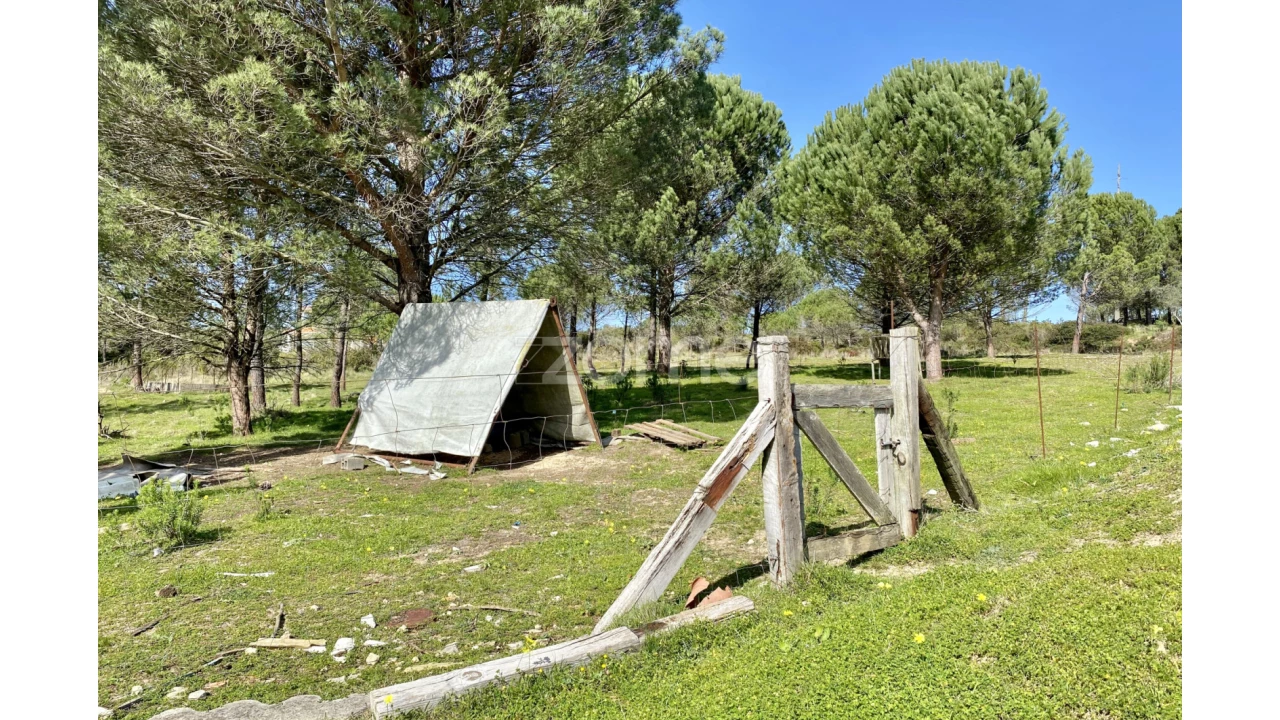 Terreno para Venda em Vila Verde Foto 9