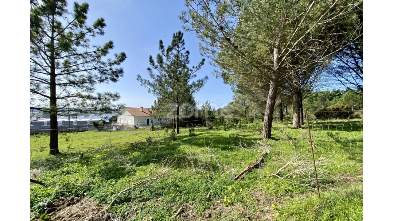 Terreno para Venda em Vila Verde Foto 13