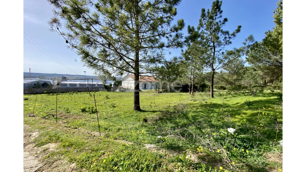 Terreno para Venda em Vila Verde Foto 14