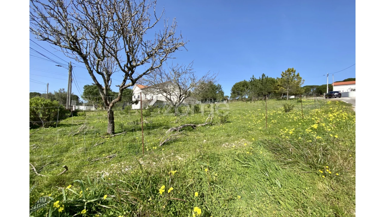 Terreno para Venda em Vila Verde Foto 22