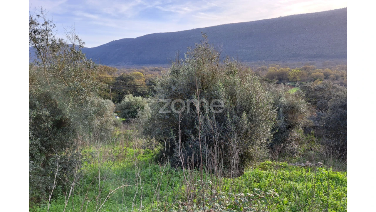 Terreno para Venda em Mira de Aire Foto 18