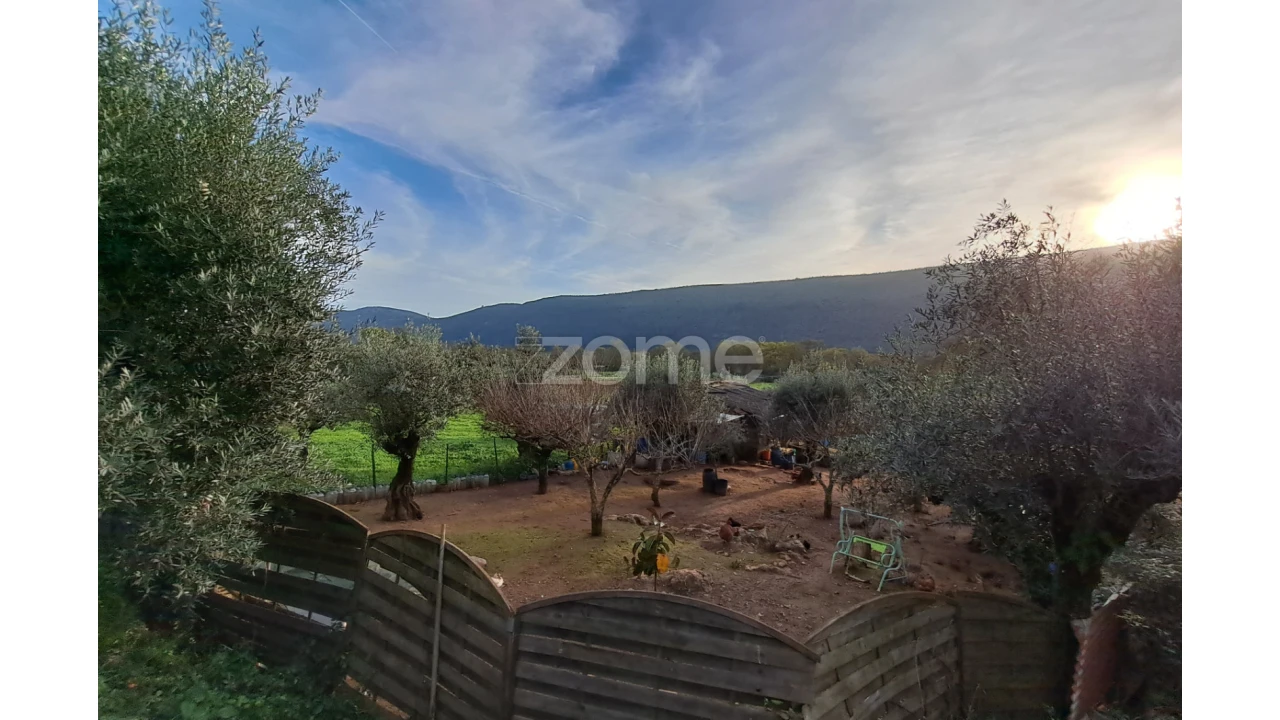 Terreno para Venda em Mira de Aire Foto 19