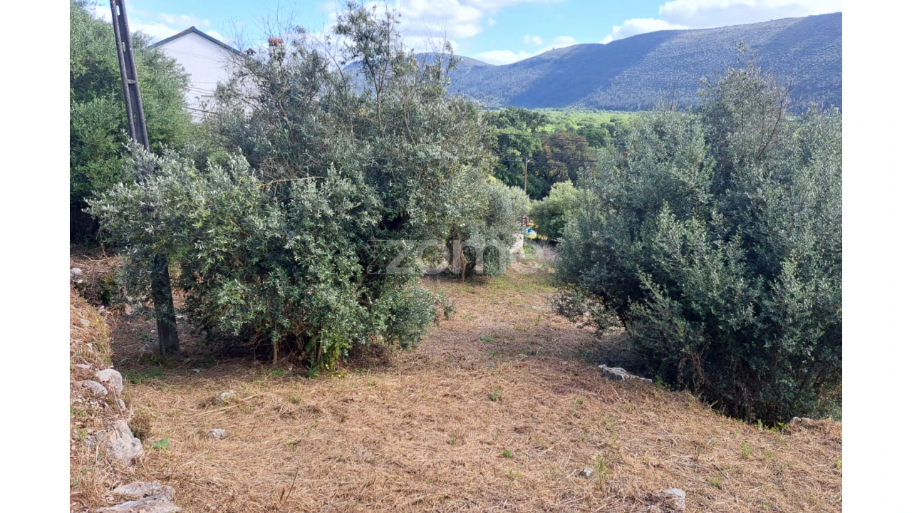 Terreno para Venda em Mira de Aire Foto 3