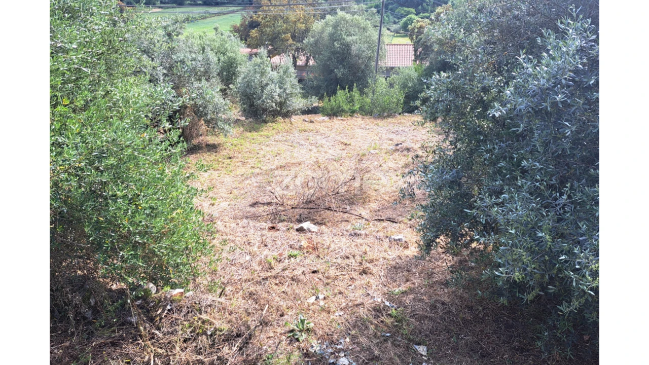Terreno para Venda em Mira de Aire Foto 4