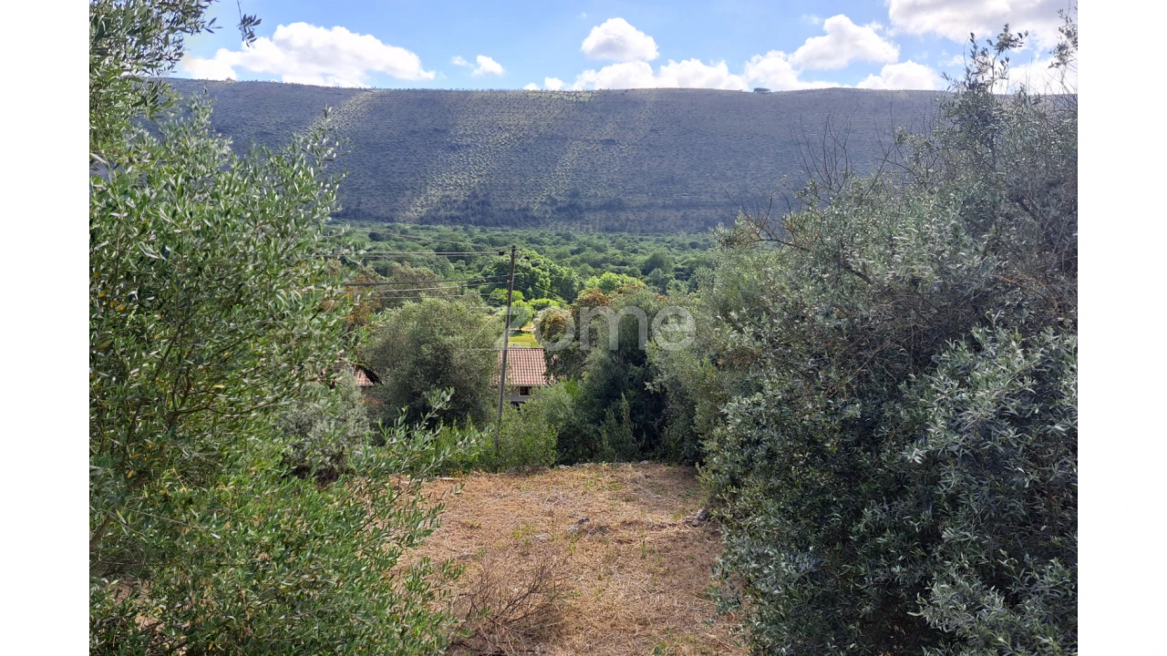 Terreno para Venda em Mira de Aire Foto 5