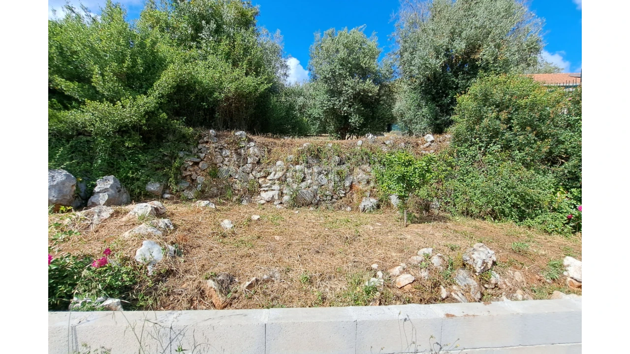 Terreno para Venda em Mira de Aire Foto 7