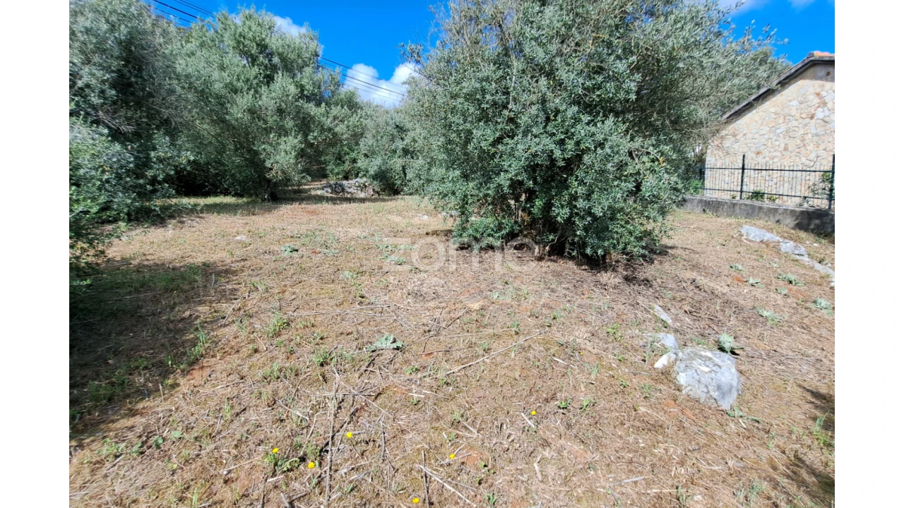 Terreno para Venda em Mira de Aire Foto 10
