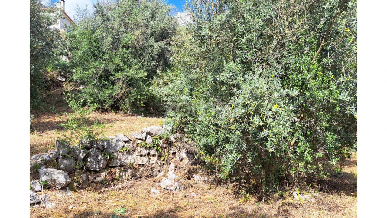 Terreno para Venda em Mira de Aire Foto 12