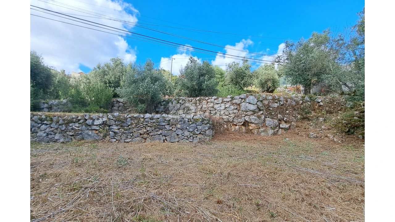 Terreno para Venda em Mira de Aire Foto 14