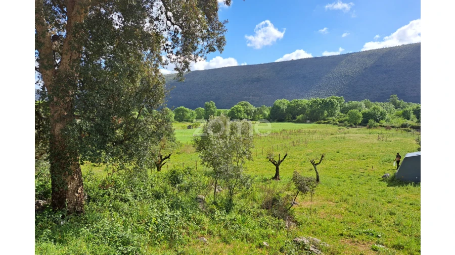 Terreno para Venda em Mira de Aire Foto 17
