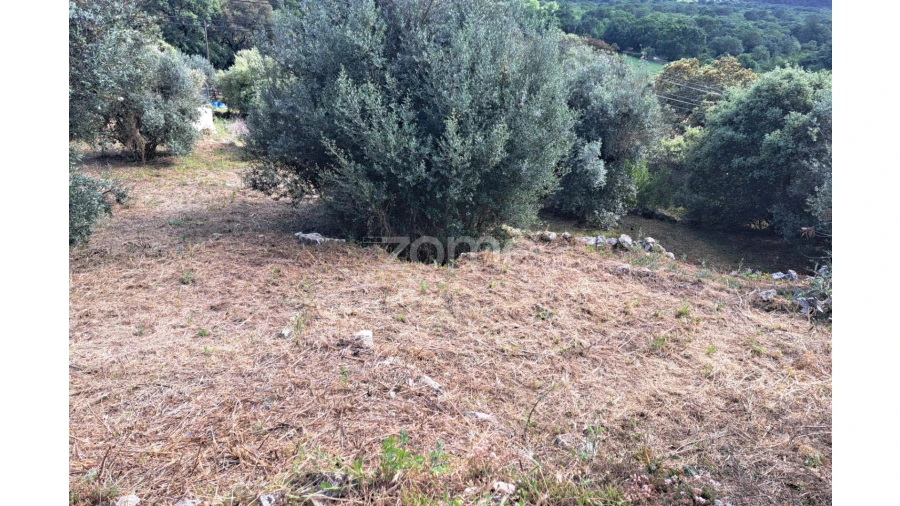 Terreno para Venda em Mira de Aire Foto 2
