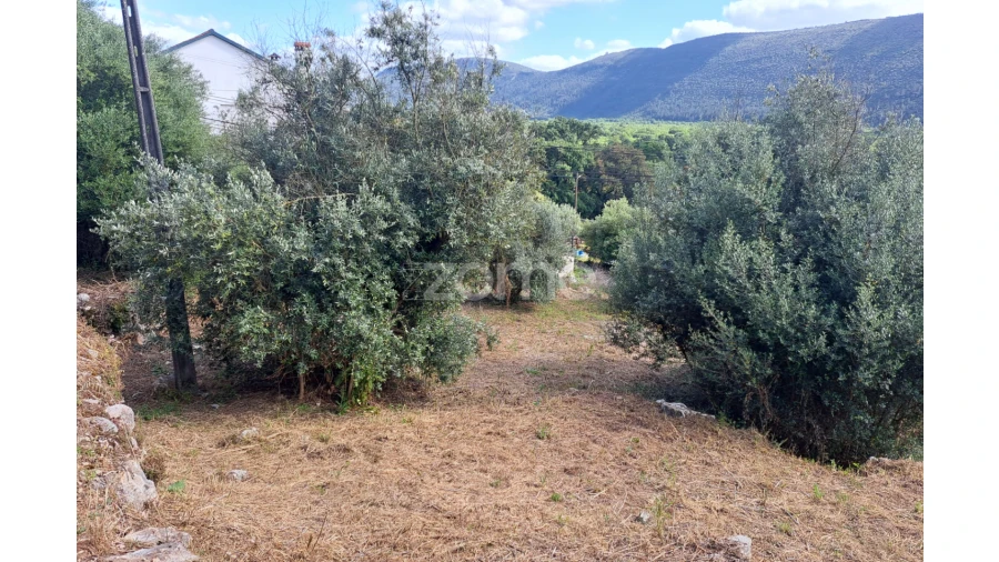 Terreno para Venda em Mira de Aire Foto 3
