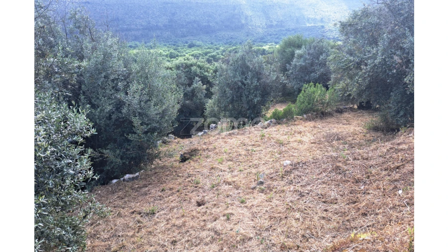 Terreno para Venda em Mira de Aire Foto 6