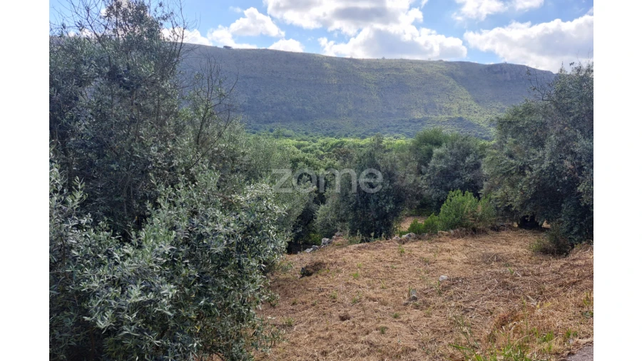 Terreno para Venda em Mira de Aire Foto 7