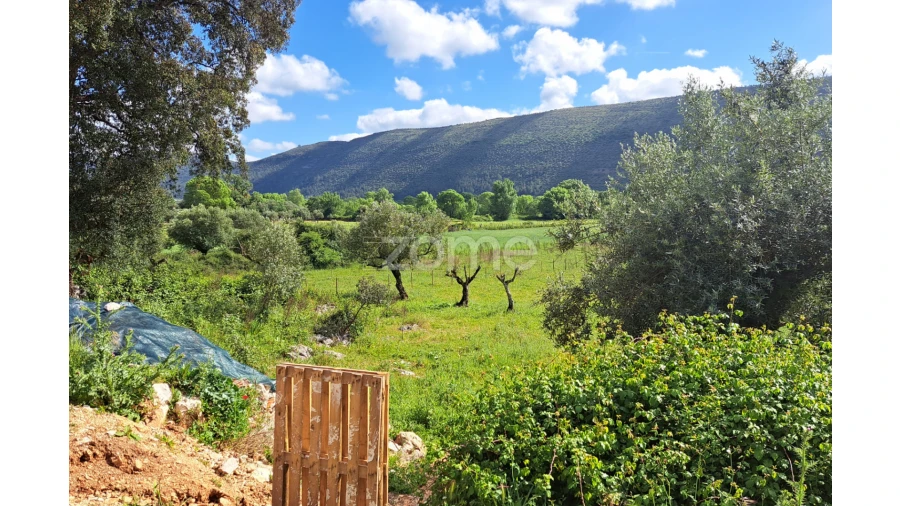Terreno para Venda em Mira de Aire Foto 25
