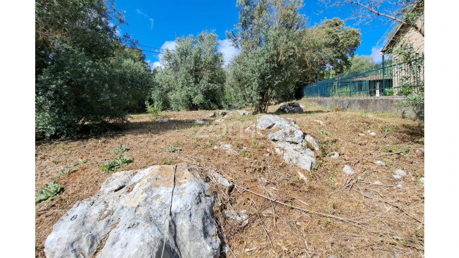 Terreno para Venda em Mira de Aire Foto 10