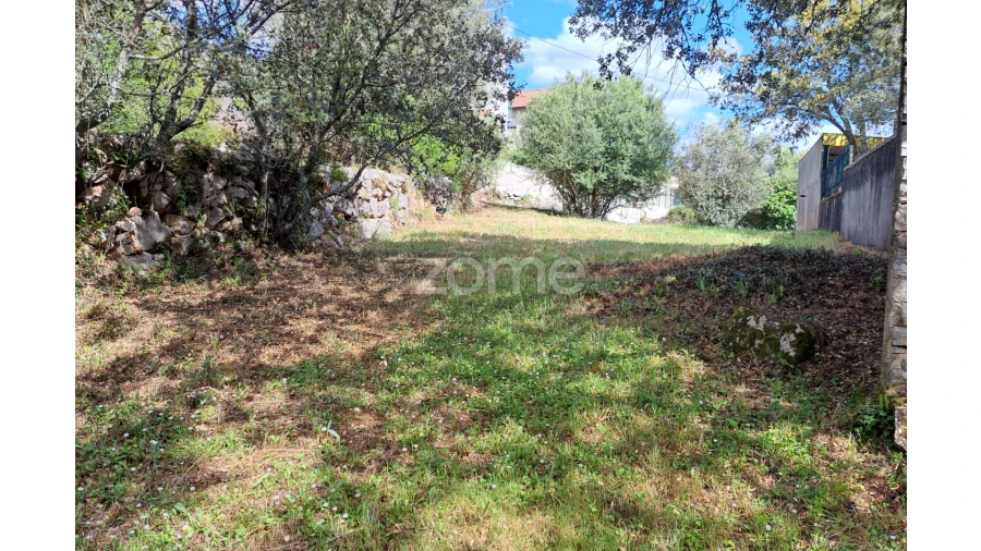 Terreno para Venda em Mira de Aire Foto 13