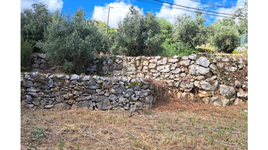 Terreno para Venda em Mira de Aire Foto 11