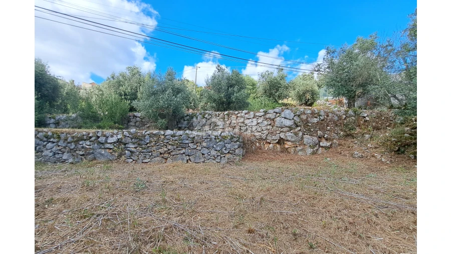 Terreno para Venda em Mira de Aire Foto 14
