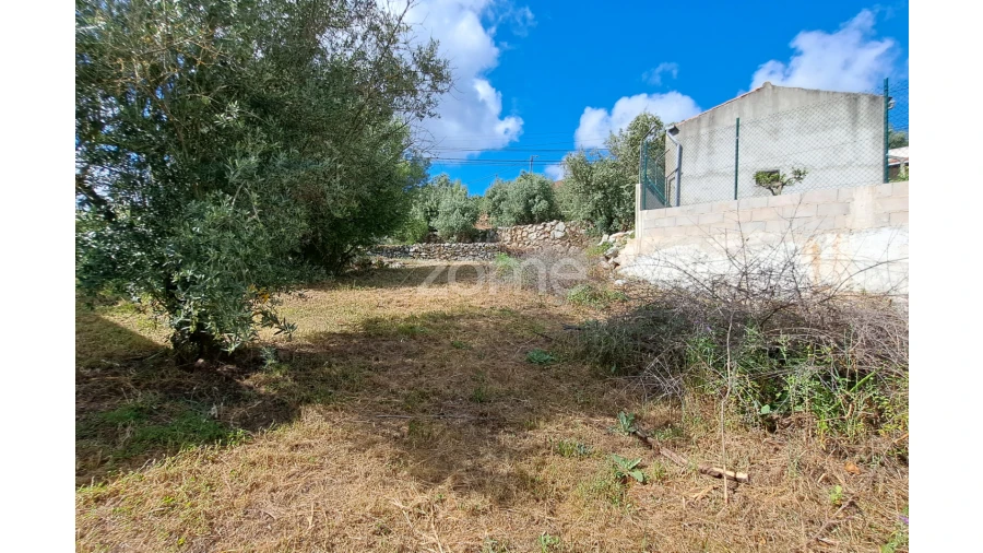 Terreno para Venda em Mira de Aire Foto 16