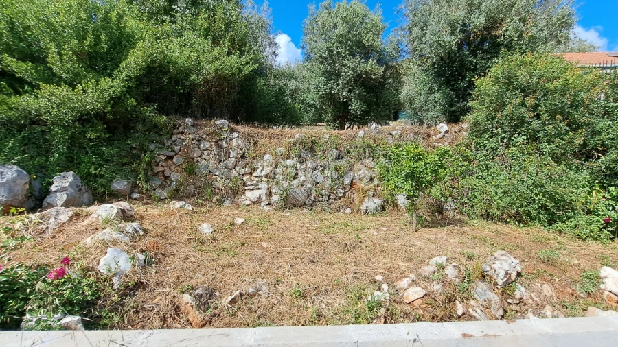 Terreno para Venda em Mira de Aire