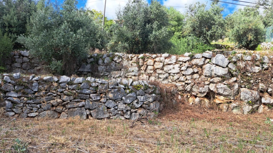 Terreno para Venda em Mira de Aire