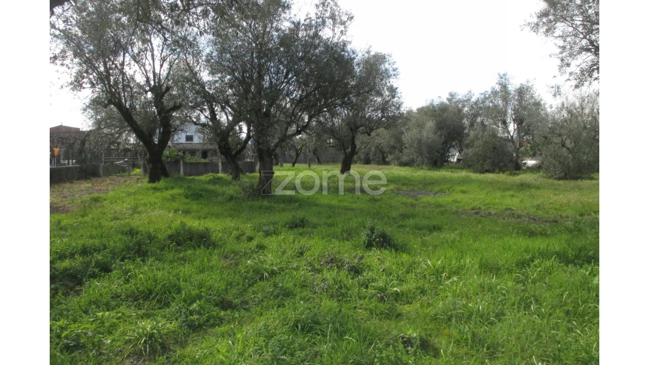 Terreno para Venda em Lousã e Vilarinho Foto 12
